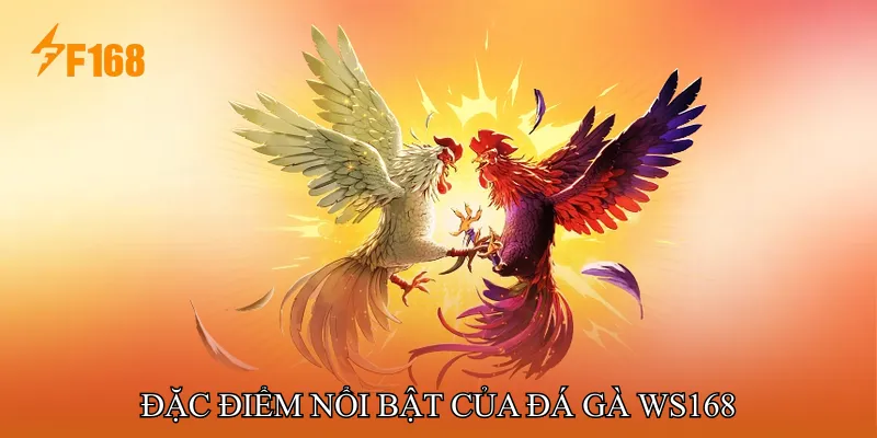 Đặc điểm nổi bật của Đá gà WS168