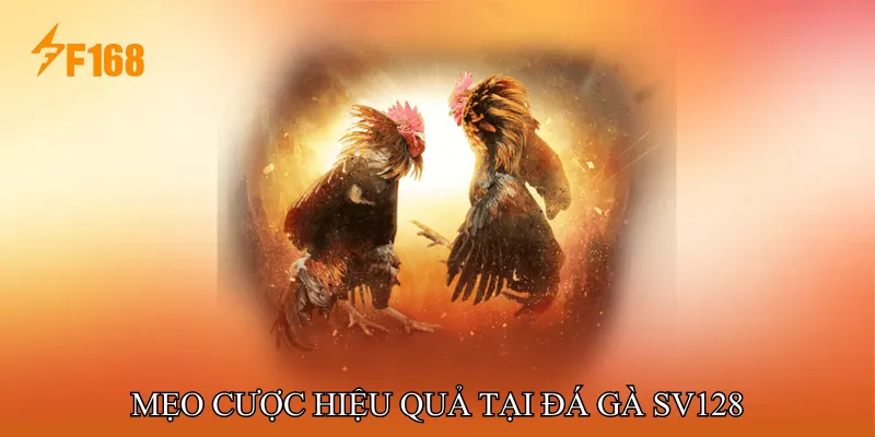 Mẹo cược hiệu quả tại Đá gà SV128